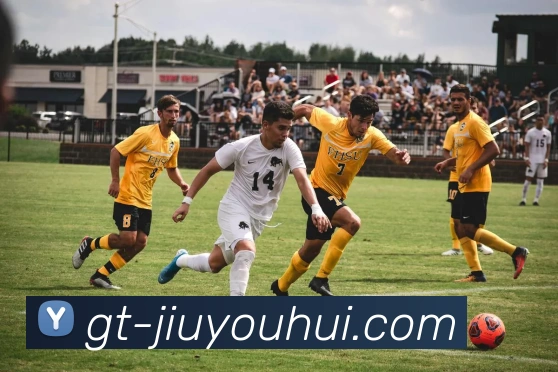 J9九游会官网平台生态图